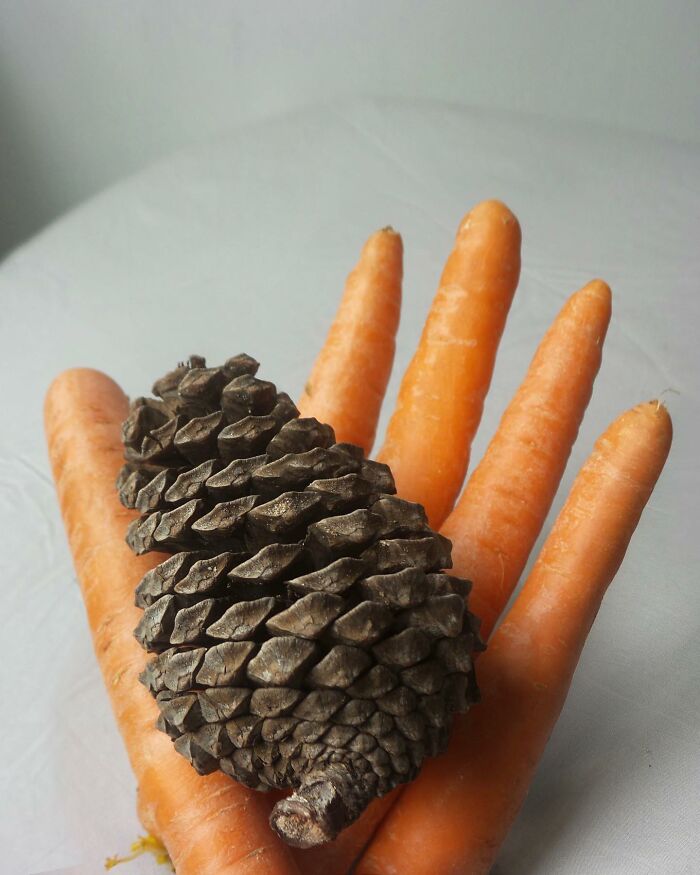 Dudi Ben Simon Crafts A New Narrative From Items, Breathing Fresh Life Into The Ordinary