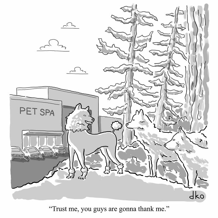 Black and white comic showing dogs outside a pet spa, turning ordinary everyday situations into a funny one-panel comic.