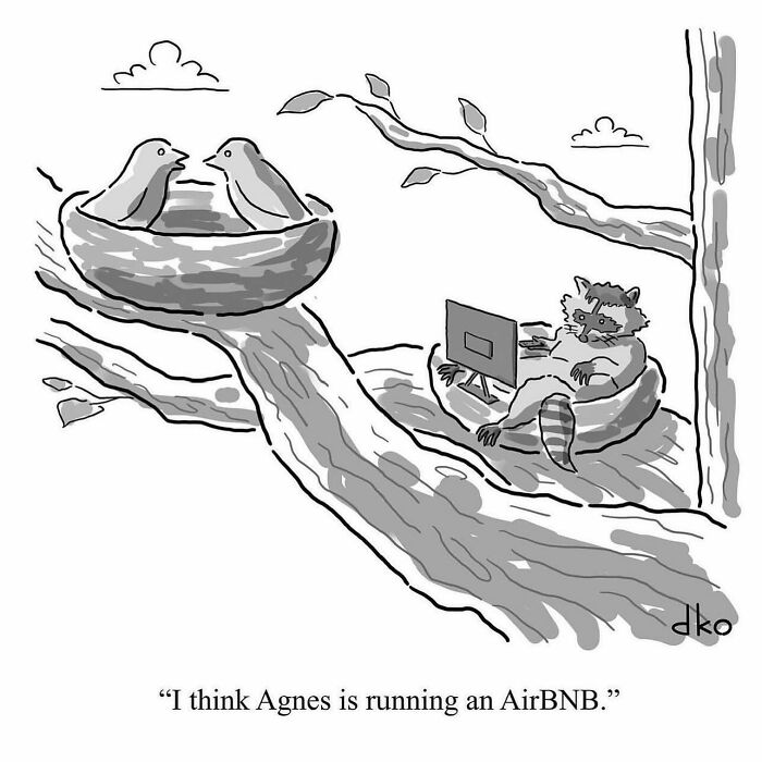 Raccoon working on laptop in a tree nest, with birds in nearby nest, in a funny one-panel comic about everyday situations.