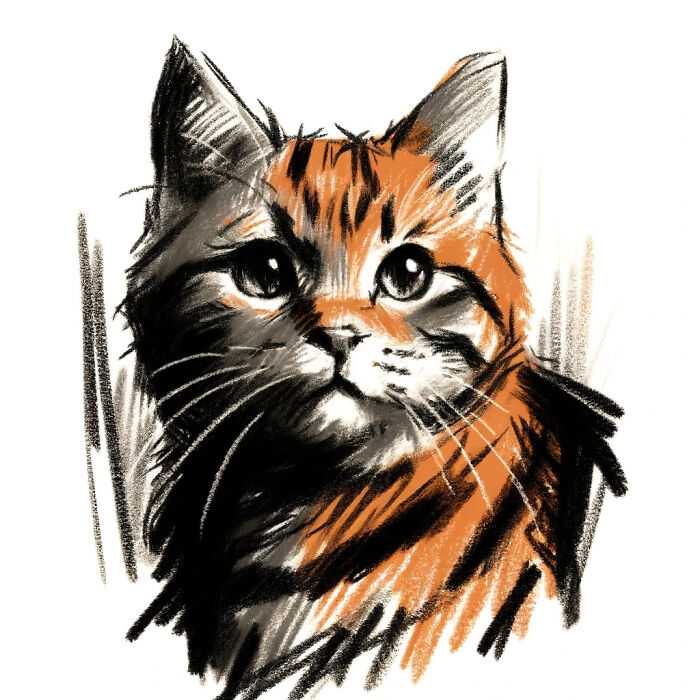 We Capture The Essence Of NYC Through Cute And Funny Photos Of Bodega Cats