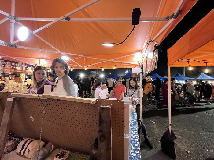 We Capture The Essence Of NYC Through Cute And Funny Photos Of Bodega Cats