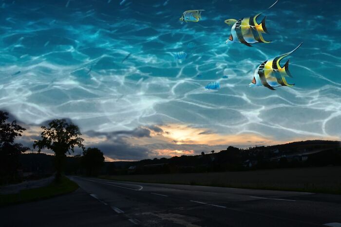 The Journey South Has Begun