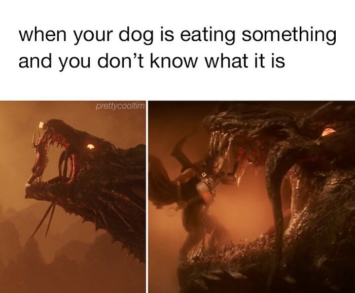 Funny Pretty Cool Tim Memes For Those Who Love To Laugh In Front Of The Computer