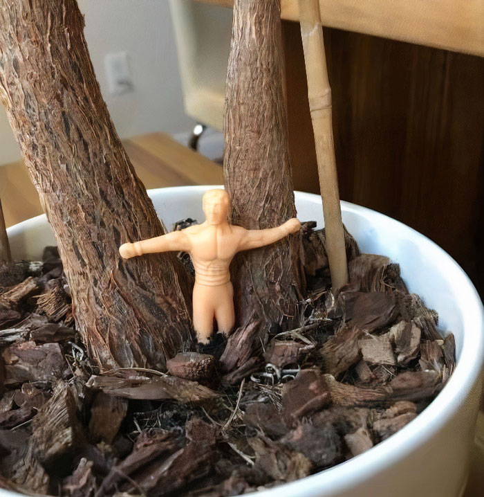 Gift Your Single Pal A Chuckle This Valentine's Day With Grow A Boyfriend. Trust Us, He Won't Steal The Blankets Or Forget Anniversaries!