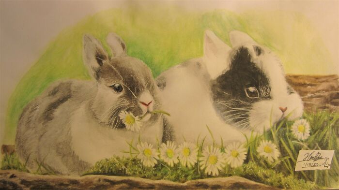 Buns Of Steel (2022 New Year)