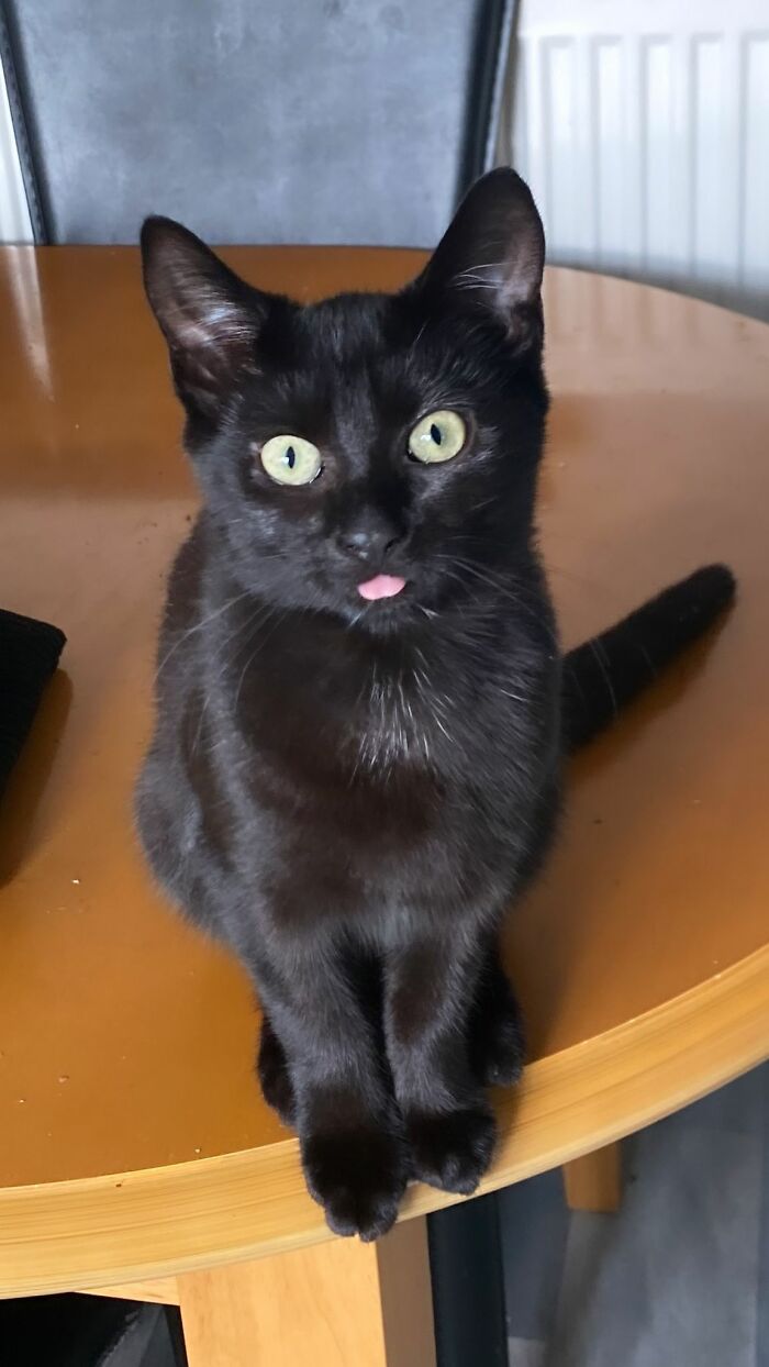 Lulu Blep