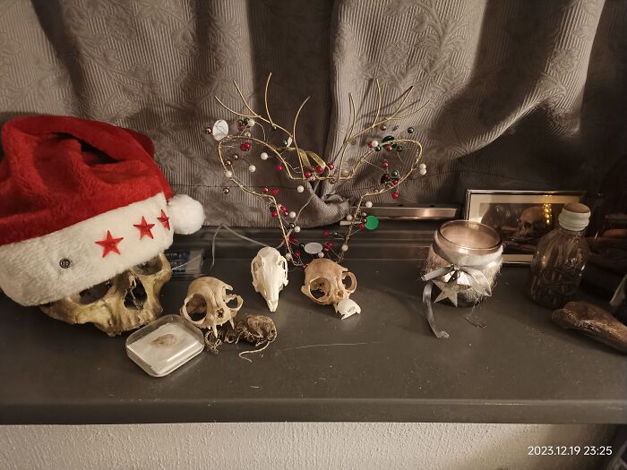 Karel And His Pets, Xmas Style