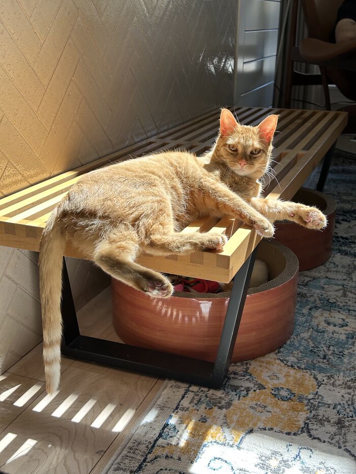 I Thought The Lighting On This Was Pretty Good. Her Highness Miss Billie Would Tell You That She Always Glows