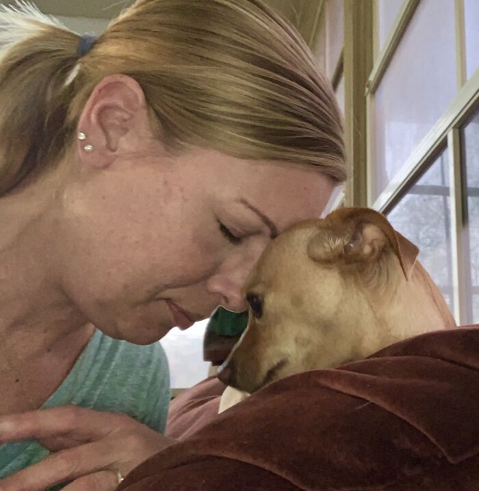 Meet Honey, The Service Dog Who's Wee But Mighty