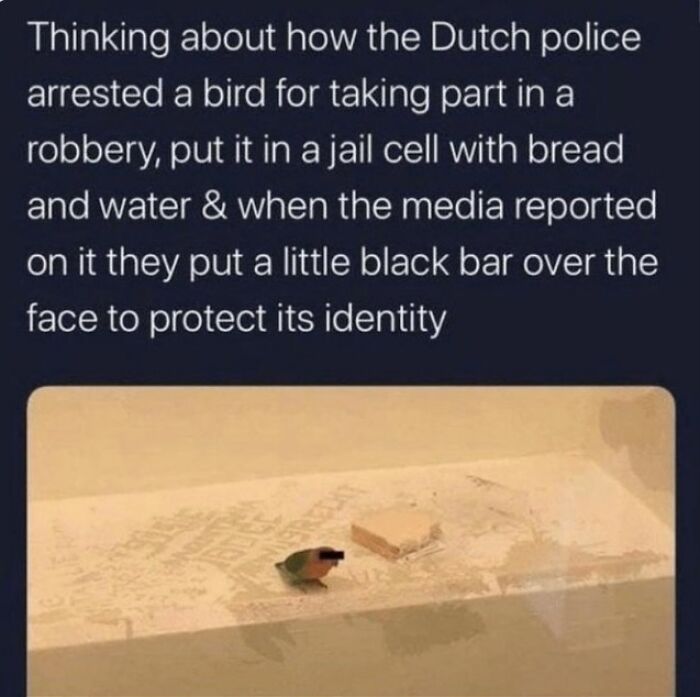 40 More Memes For Anyones Entertainment