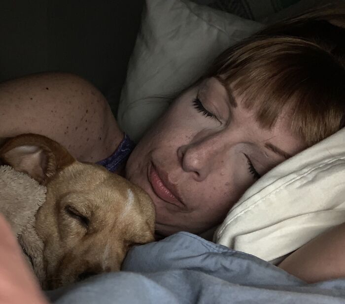 Meet Honey, The Service Dog Who's Wee But Mighty