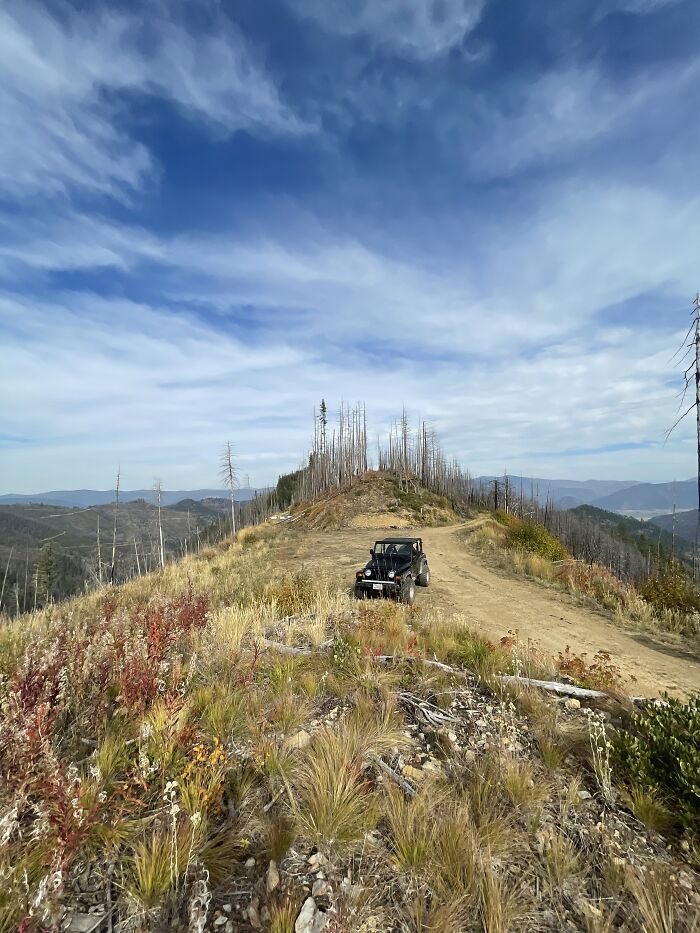 Top Of The World 😎