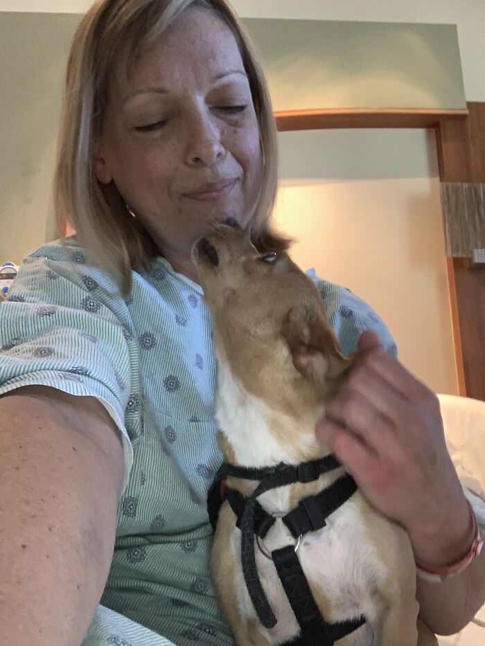 Meet Honey, The Service Dog Who's Wee But Mighty