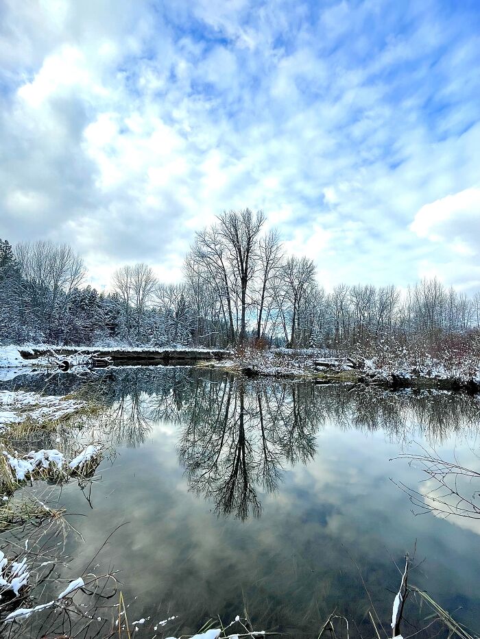 I Took This Picture Of The Creek That Runs Behind My House, A Beaver Dammed It Up And This Is The Result