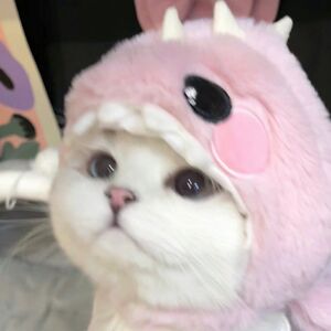 allyson-weber avatar