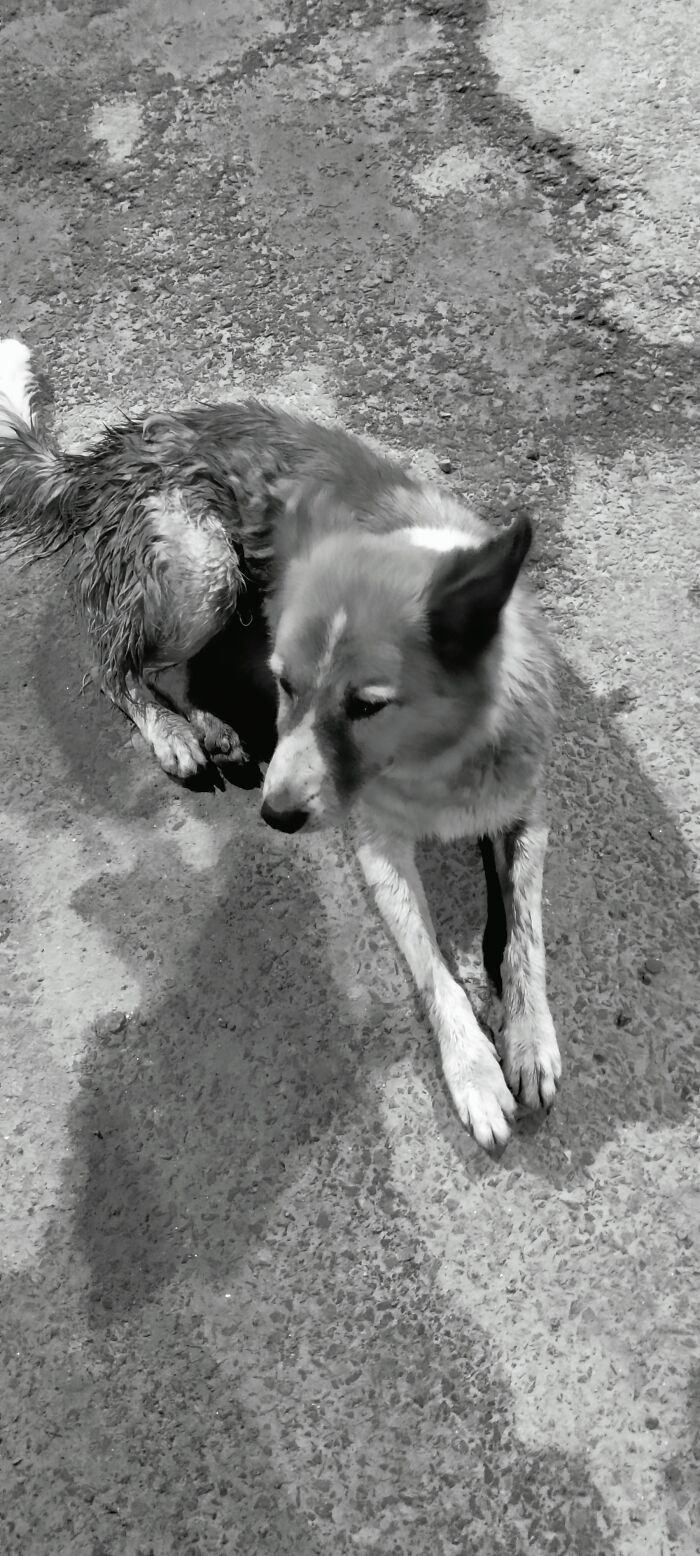 Street Boss Of The Street Where I Used To Live