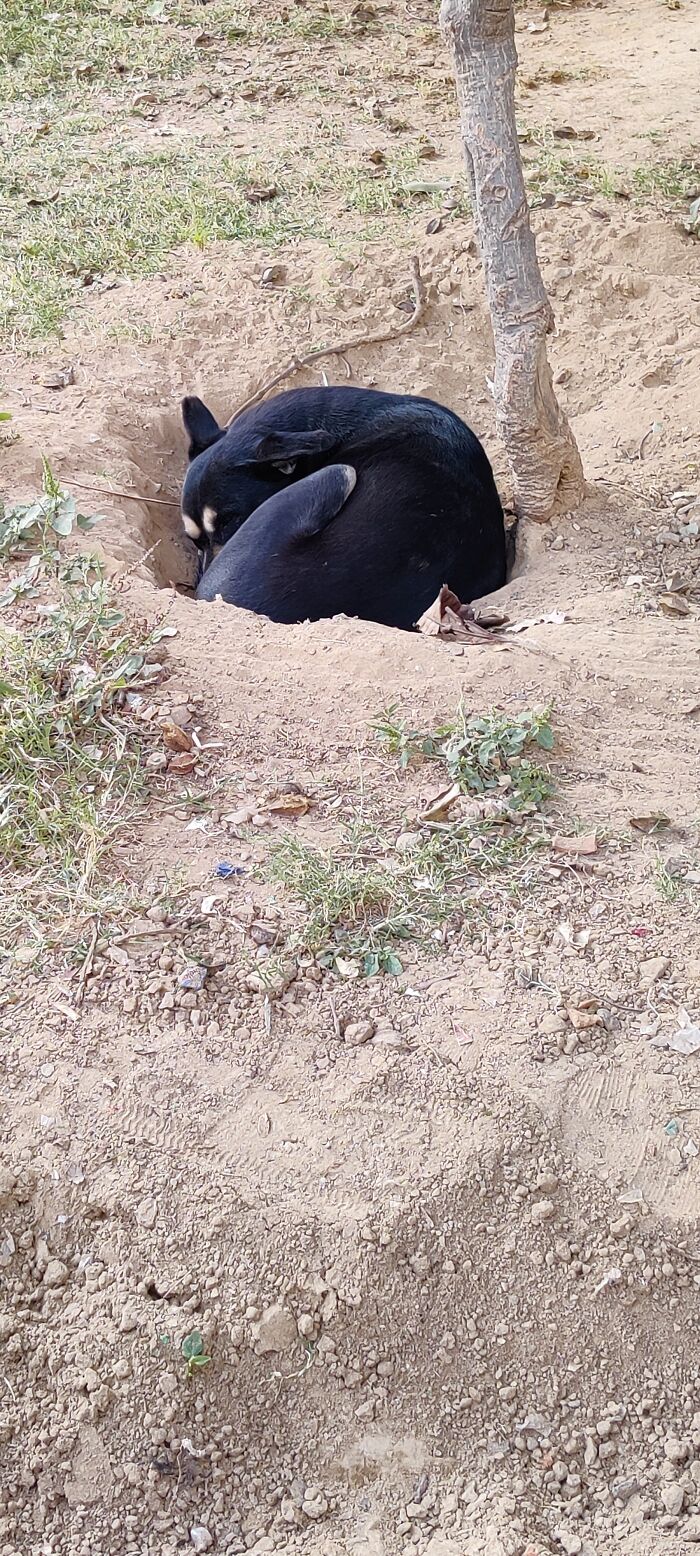 Do Not Disturb Please