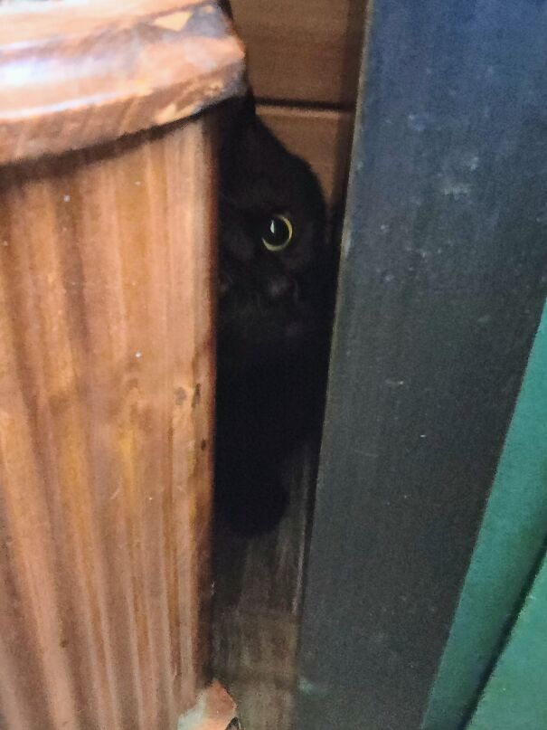 Novi Trapped Behind The Clock!