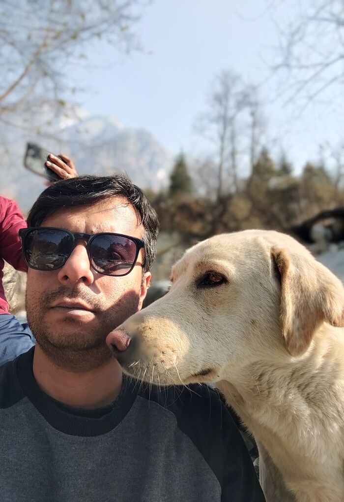 Camera Friendly Doggo I Met During Vacation