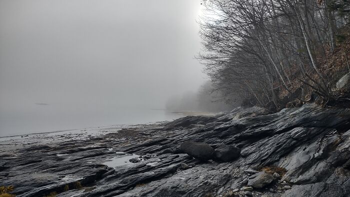 Foggy Christmas In Casco Bay