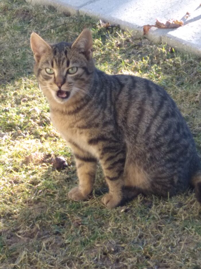 Surprised By The Flashlight