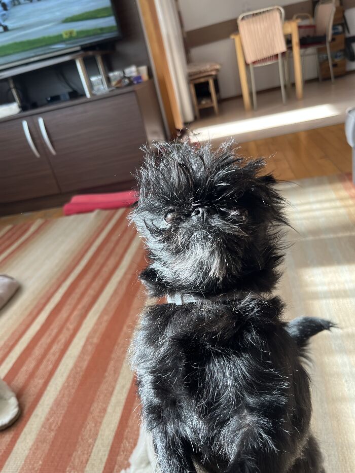 I Will Fight To The End