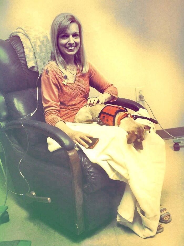 Meet Honey, The Service Dog Who's Wee But Mighty