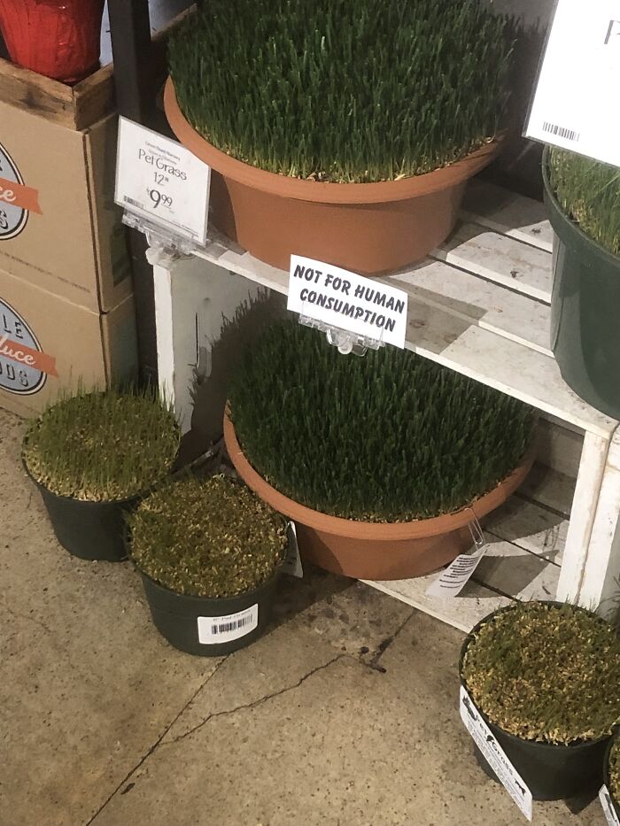 Spotted At Whole Foods