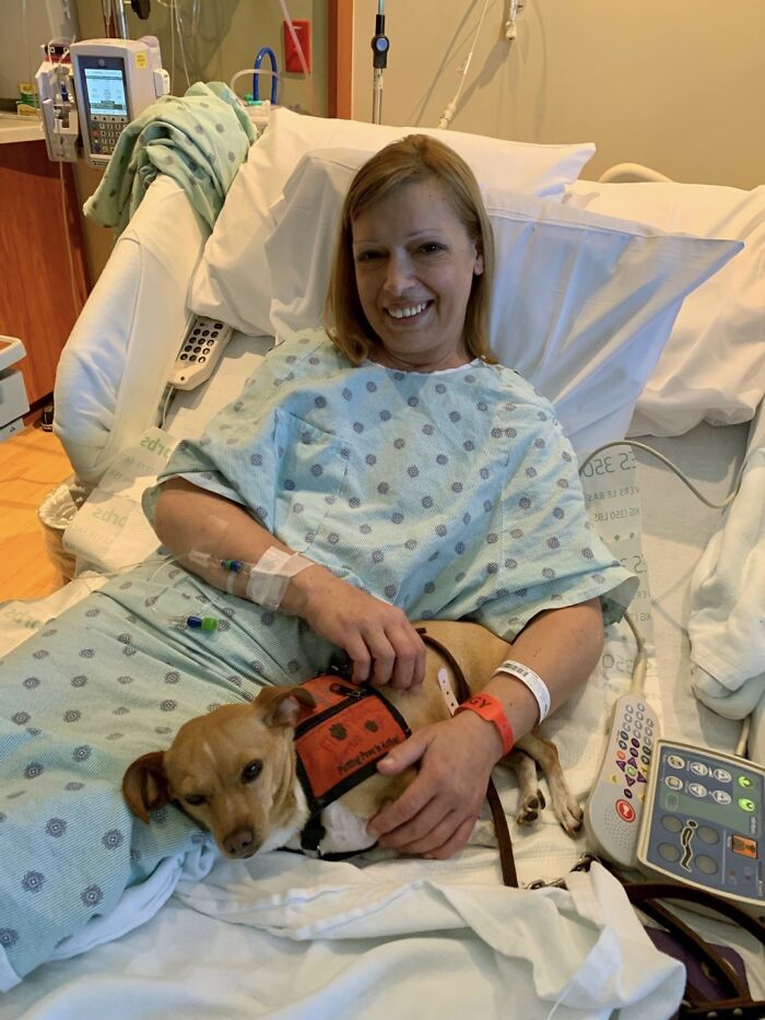 Meet Honey, The Service Dog Who's Wee But Mighty