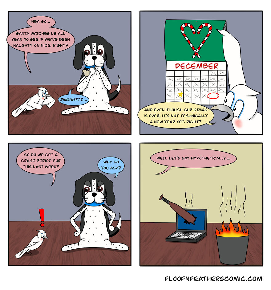 “Floof N’ Feathers”: Misadventures Of Mischievous Pets