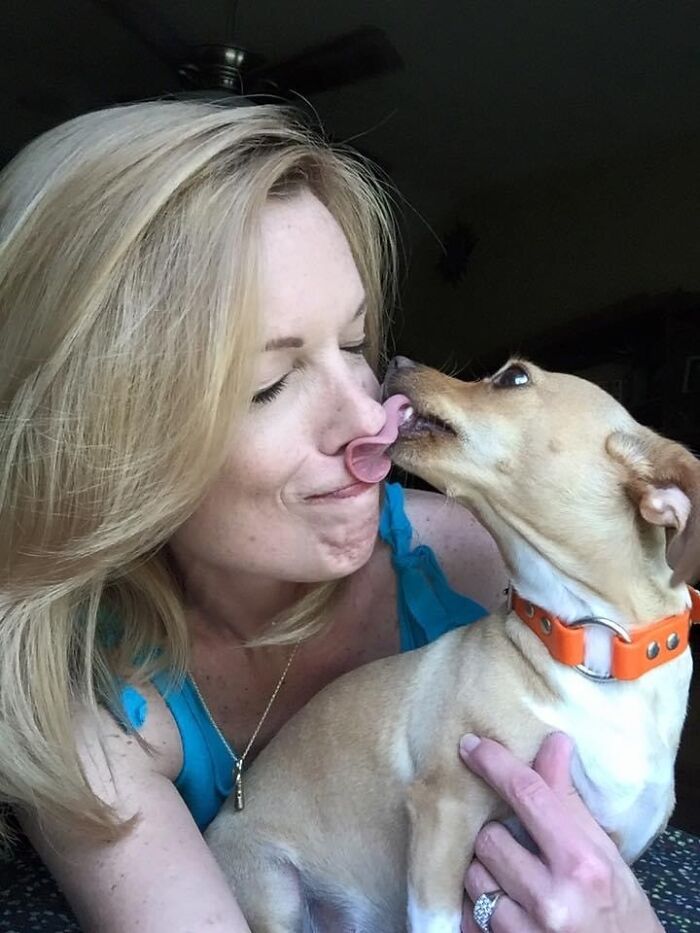 Meet Honey, The Service Dog Who's Wee But Mighty