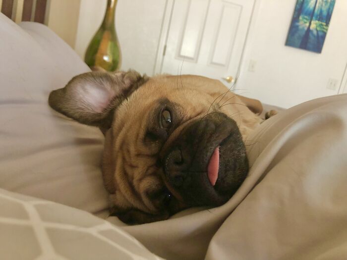 Trying To Sleep Here Dad…