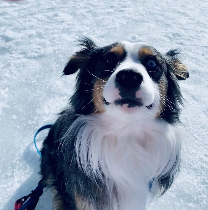 Ice Fishing With My Super Blue-Per 🐾💞