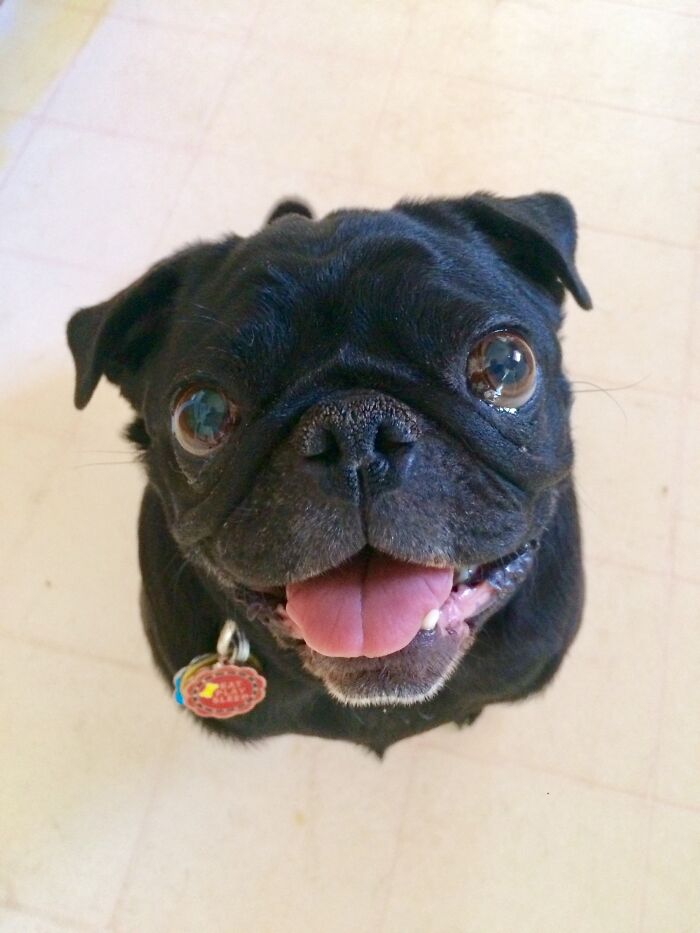 Welcome To Your New Home!