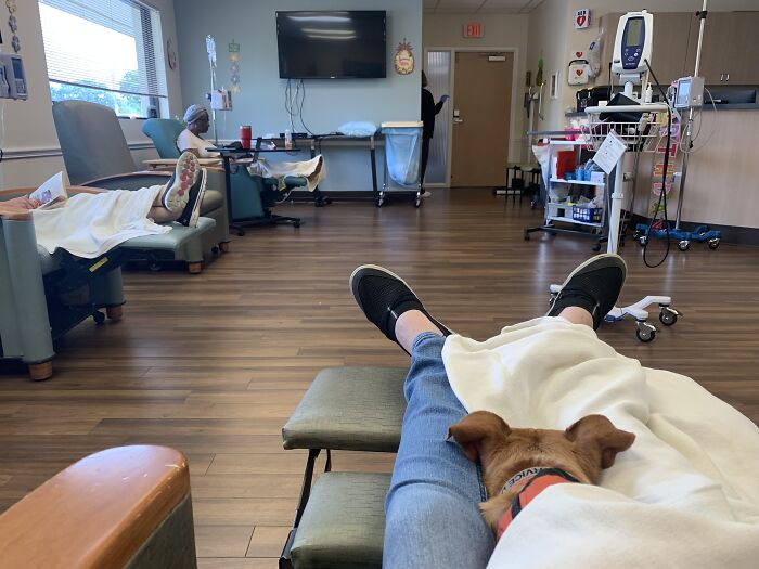 Meet Honey, The Service Dog Who's Wee But Mighty