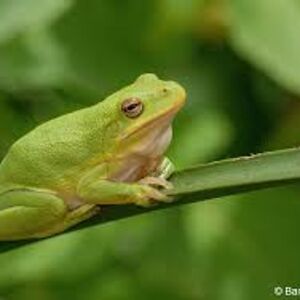 fromsarawithlove9 avatar