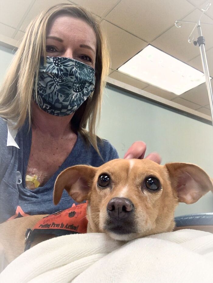 Meet Honey, The Service Dog Who's Wee But Mighty