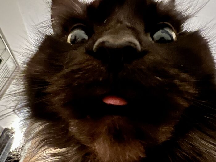 What I Usually See First Thing In The Morning