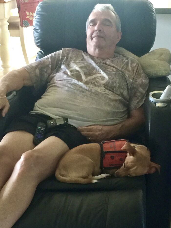 Meet Honey, The Service Dog Who's Wee But Mighty