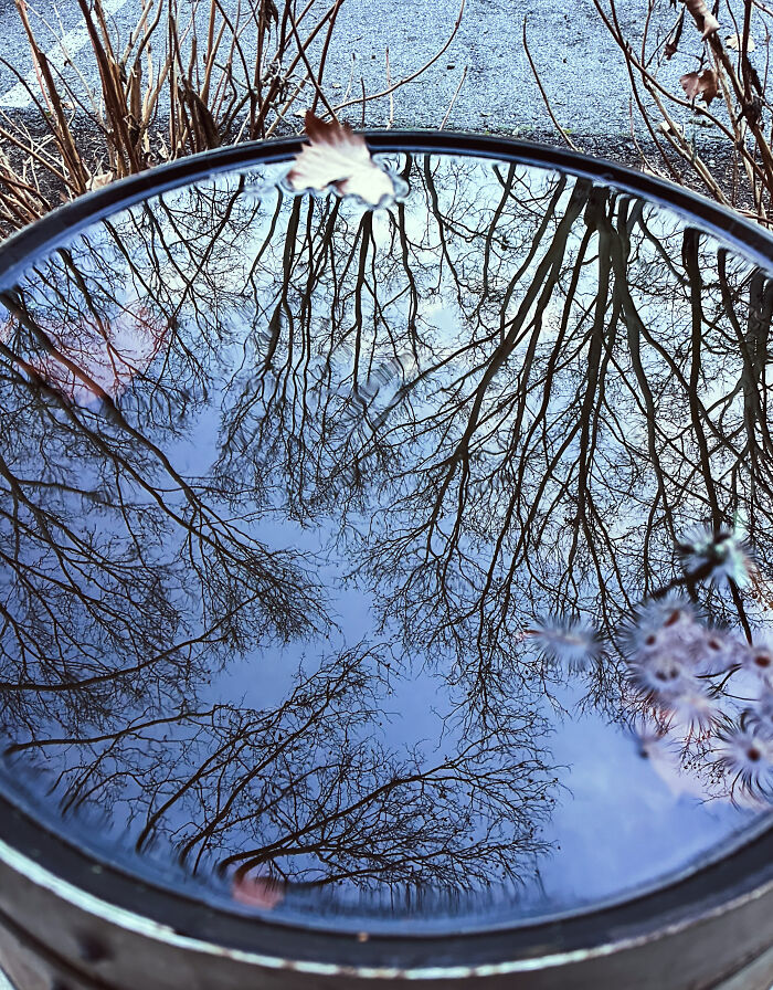 Quiet Nye In Kutztown, Pa