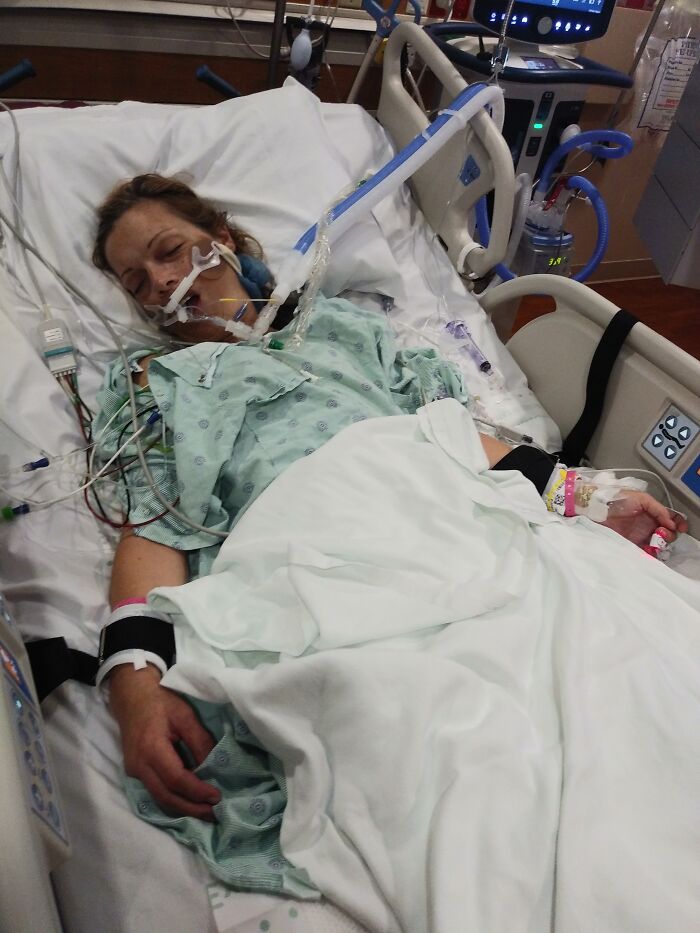 Meet Honey, The Service Dog Who's Wee But Mighty