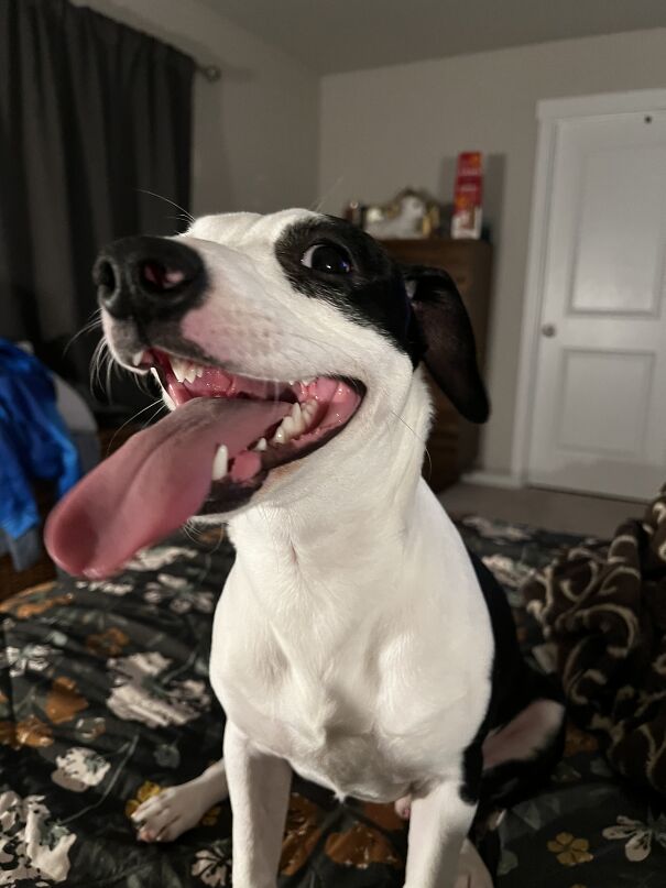 He’s Got Them Crazy Eyes