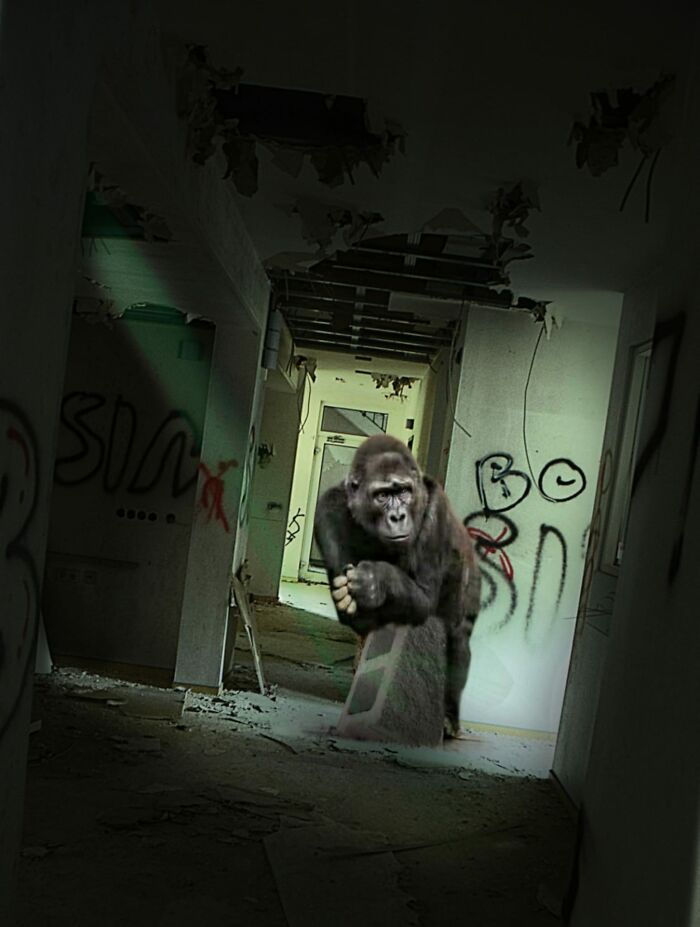 Last Resident Of The Clinic