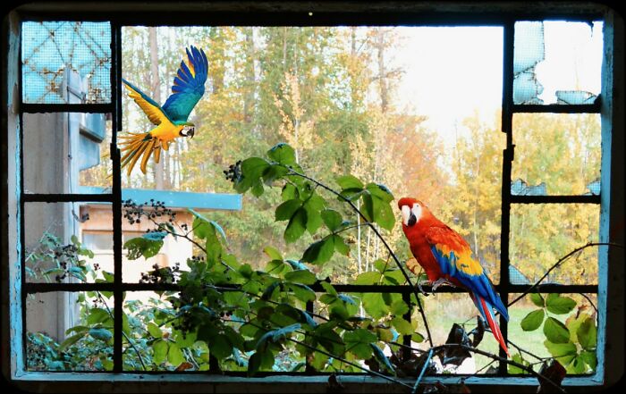 New Colorful Life In Abandoned Ammunition Factory