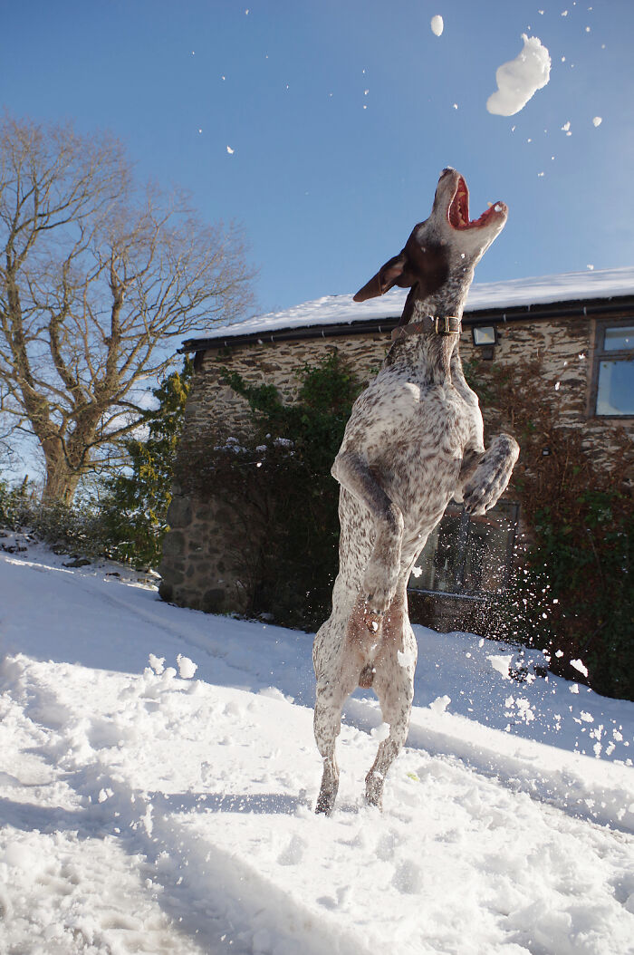 After Being Made Redundant, I Made My Hobby A Full-Time Job