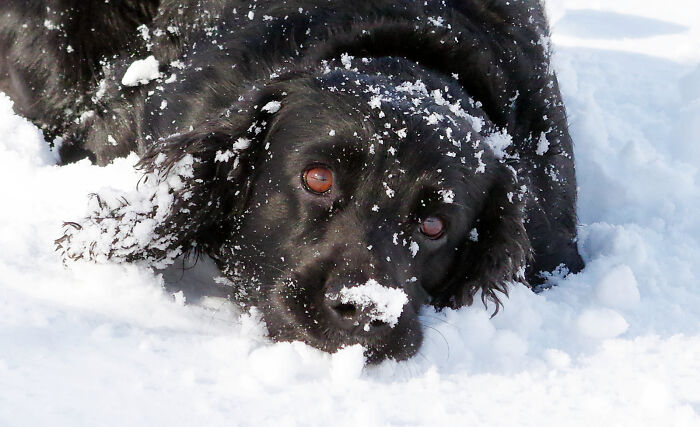 After Being Made Redundant, I Made My Hobby A Full-Time Job