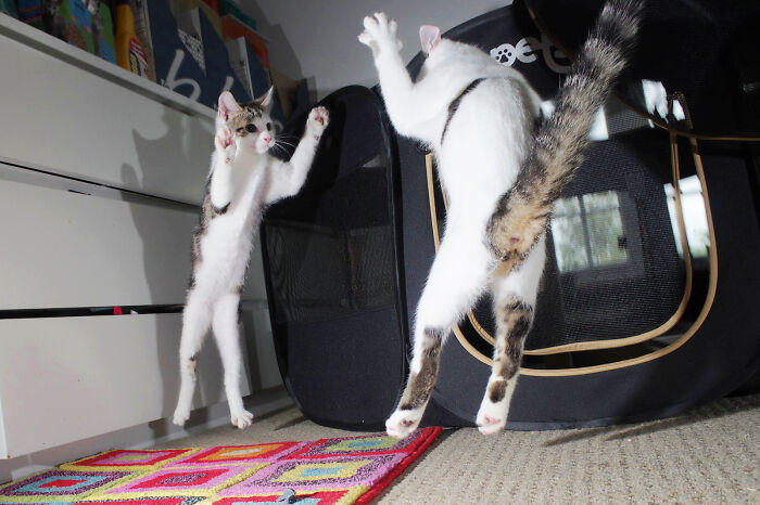 After Being Made Redundant, I Made My Hobby A Full-Time Job