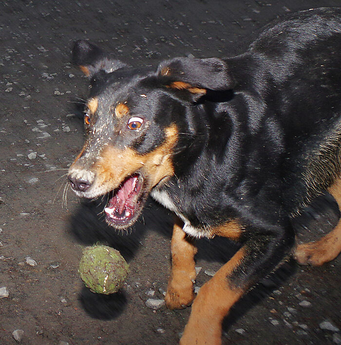 After Being Made Redundant, I Made My Hobby A Full-Time Job