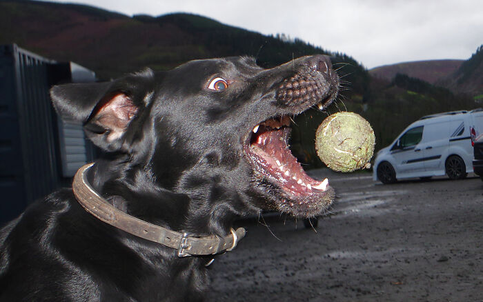 After Being Made Redundant, I Made My Hobby A Full-Time Job