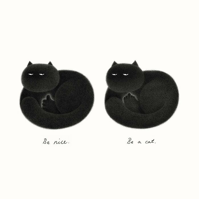 Kamwei Fong's Cute Cats (New Pics)